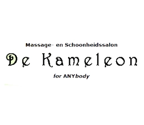 De Kameleon Salons